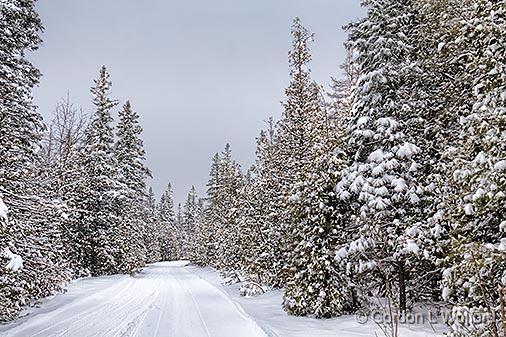 Marlborough Forest Snowscape_33220.jpg - Photographed near Burritts Rapids, Ontario, Canada.